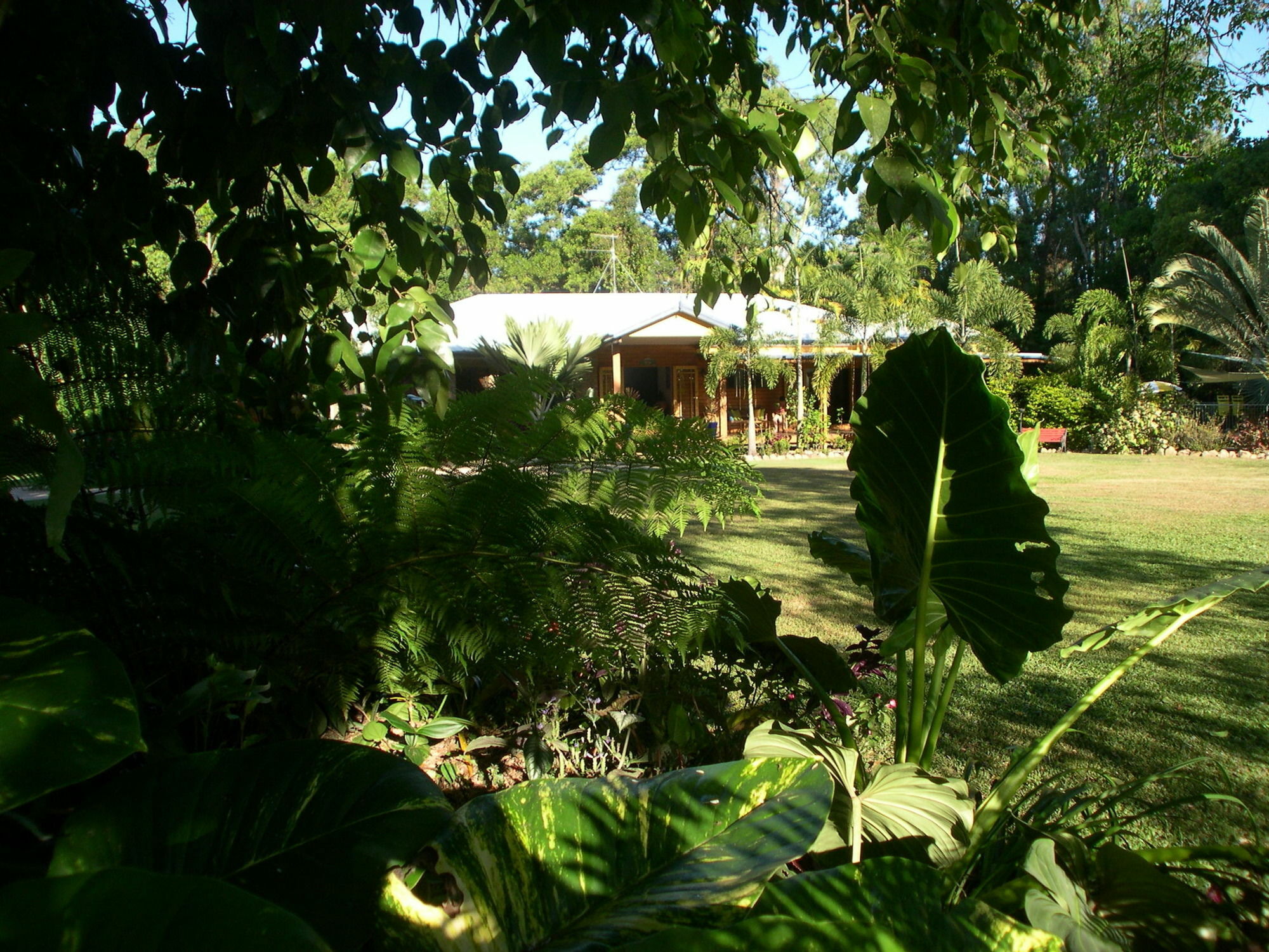 Hibiscus Lodge Bed & Breakfast Wongaling Beach Esterno foto